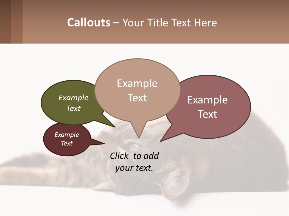 A Cat Laying On Its Back On Top Of A Table PowerPoint Template