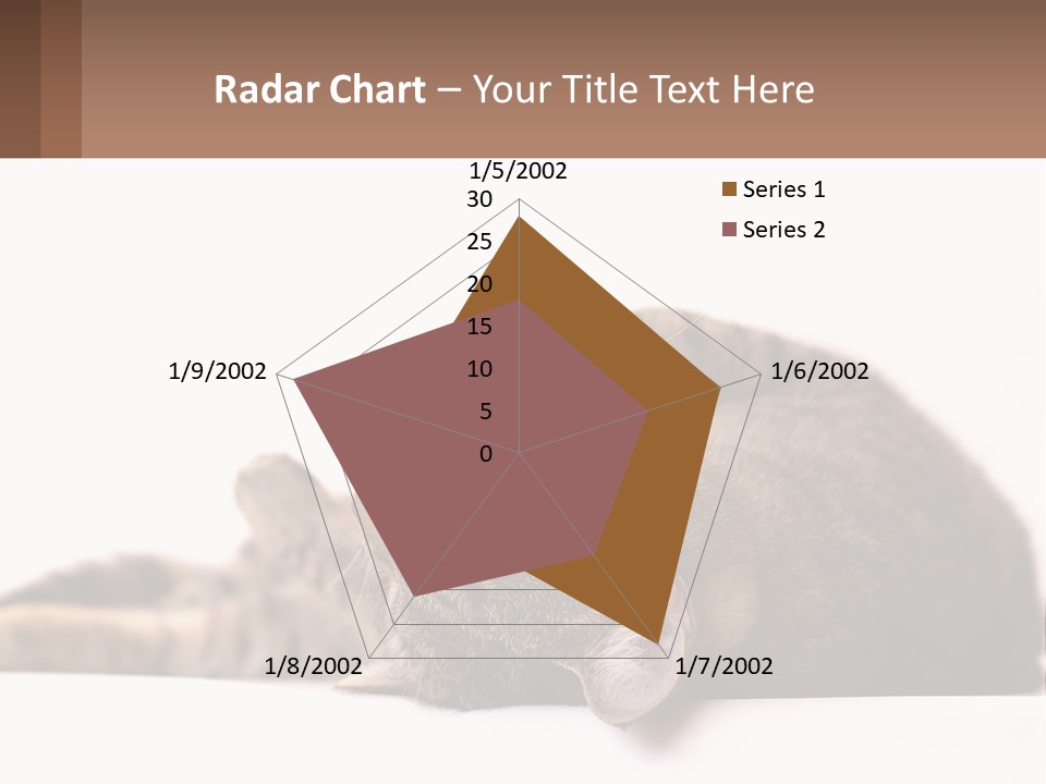 A Cat Laying On Its Back On Top Of A Table PowerPoint Template