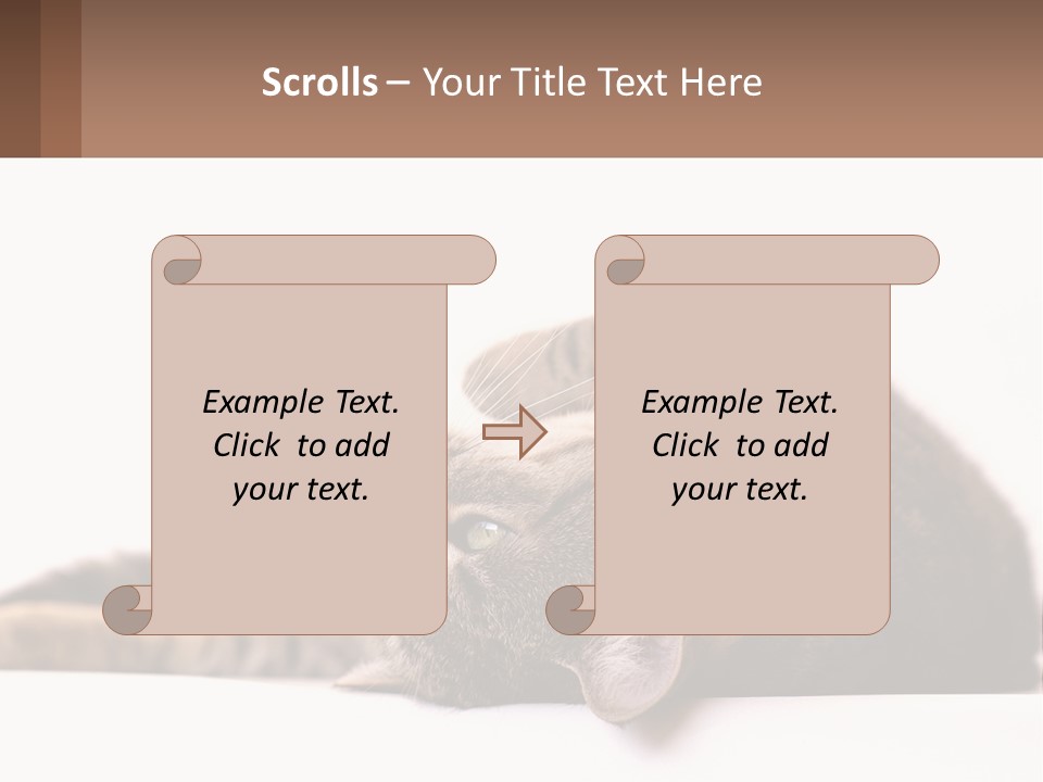 A Cat Laying On Its Back On Top Of A Table PowerPoint Template