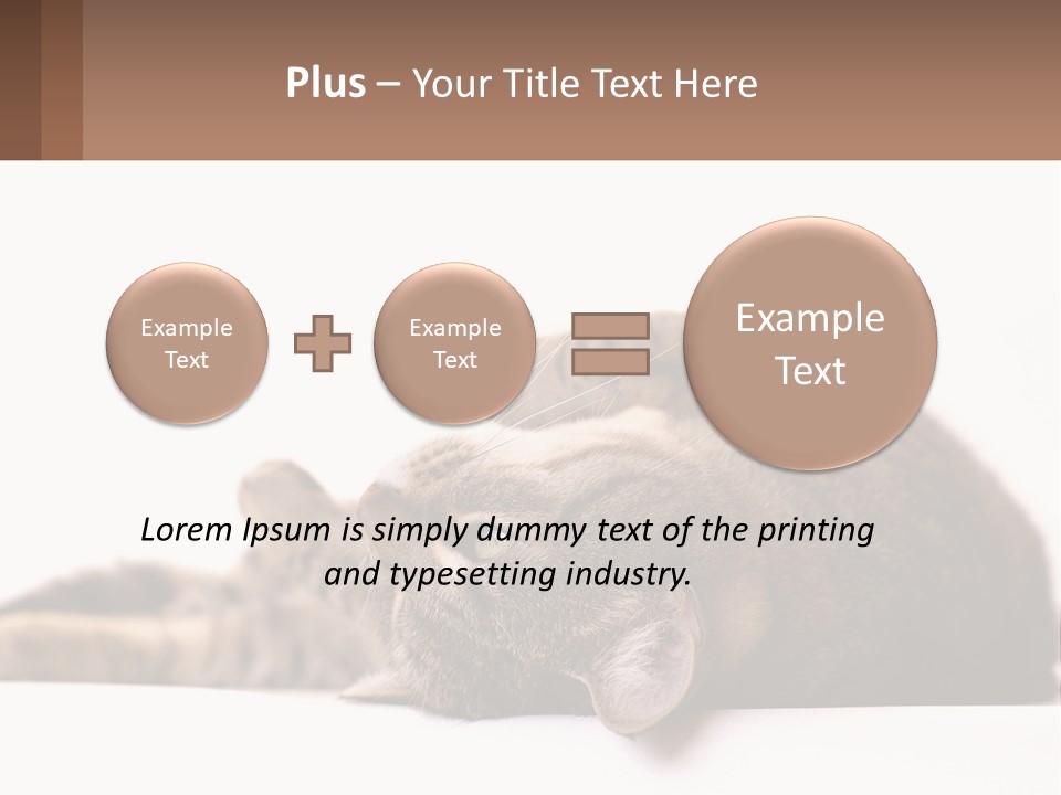 A Cat Laying On Its Back On Top Of A Table PowerPoint Template