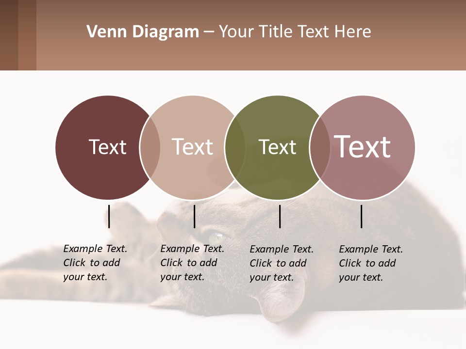 A Cat Laying On Its Back On Top Of A Table PowerPoint Template