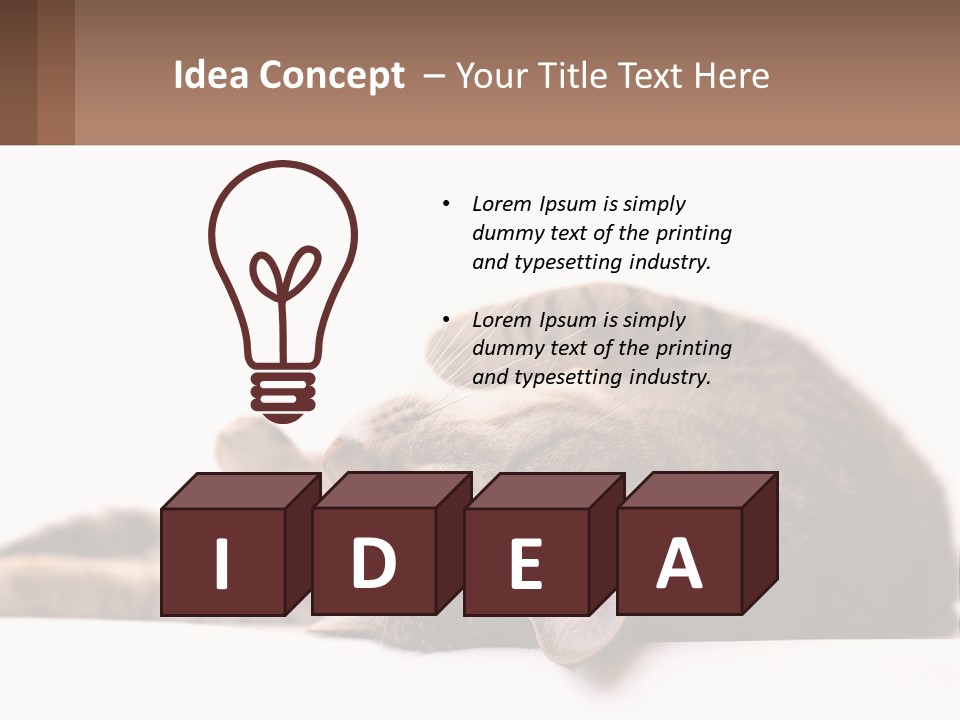 A Cat Laying On Its Back On Top Of A Table PowerPoint Template