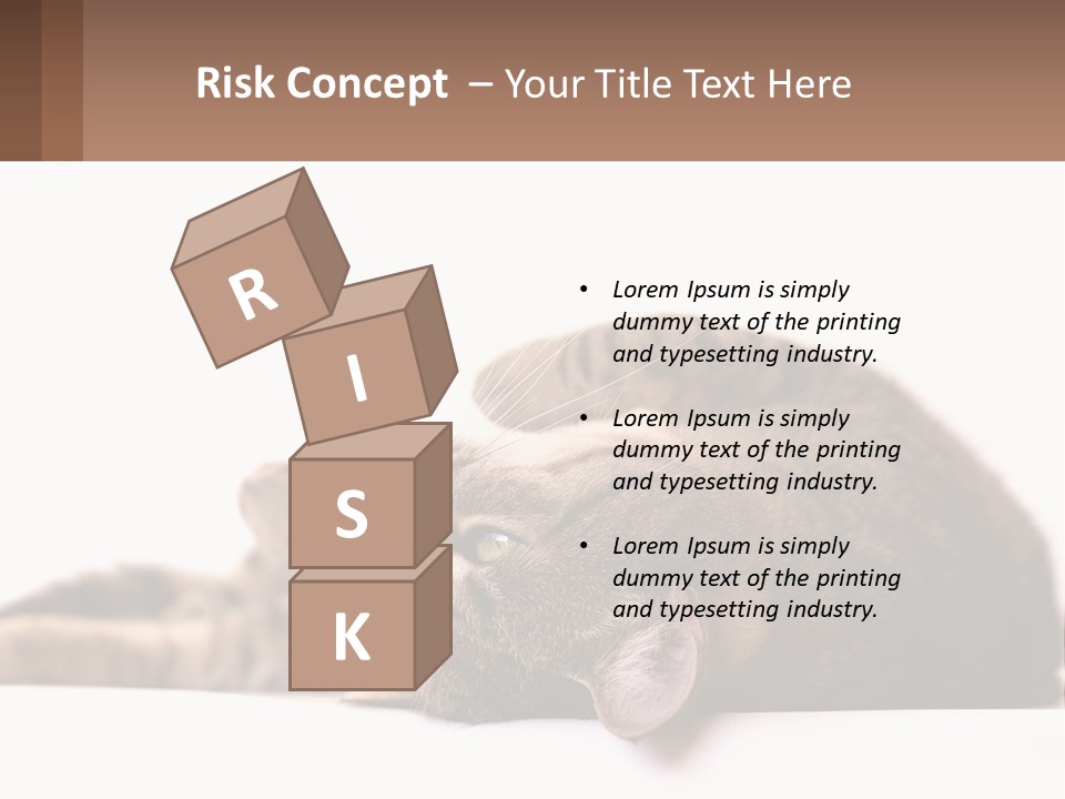 A Cat Laying On Its Back On Top Of A Table PowerPoint Template