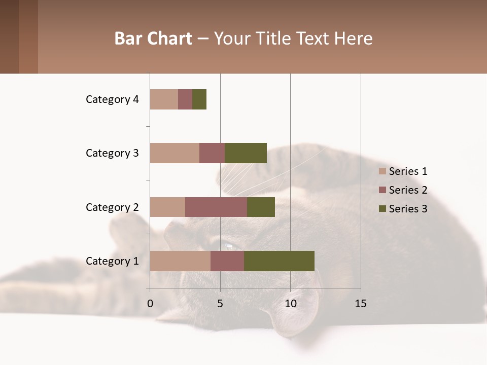 A Cat Laying On Its Back On Top Of A Table PowerPoint Template