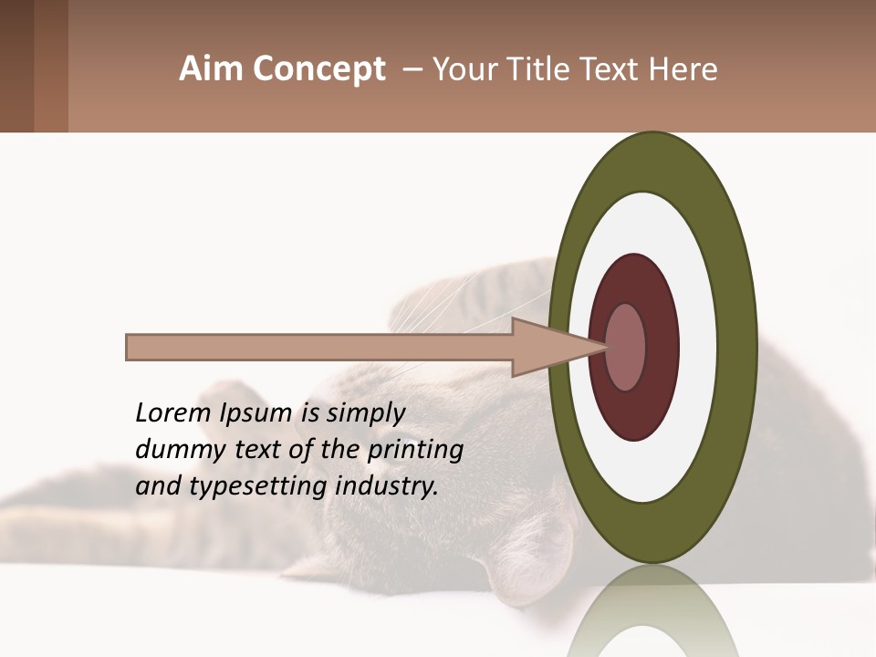 A Cat Laying On Its Back On Top Of A Table PowerPoint Template