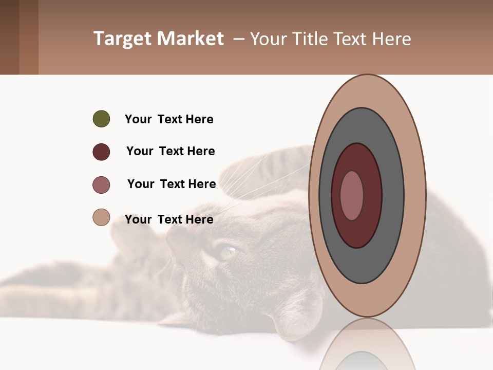 A Cat Laying On Its Back On Top Of A Table PowerPoint Template