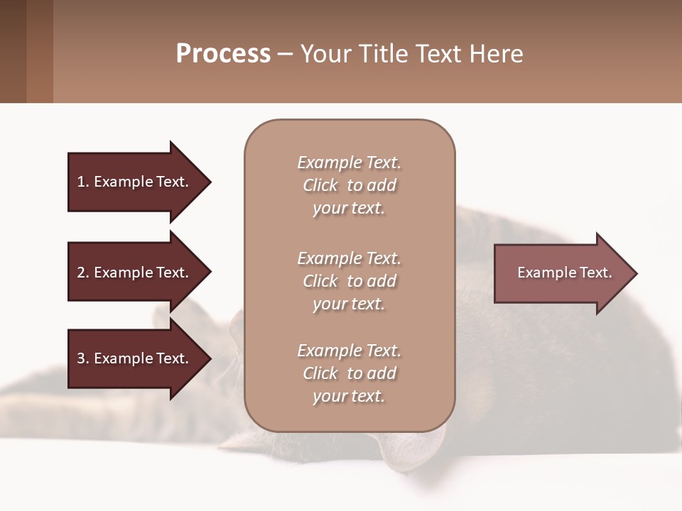 A Cat Laying On Its Back On Top Of A Table PowerPoint Template