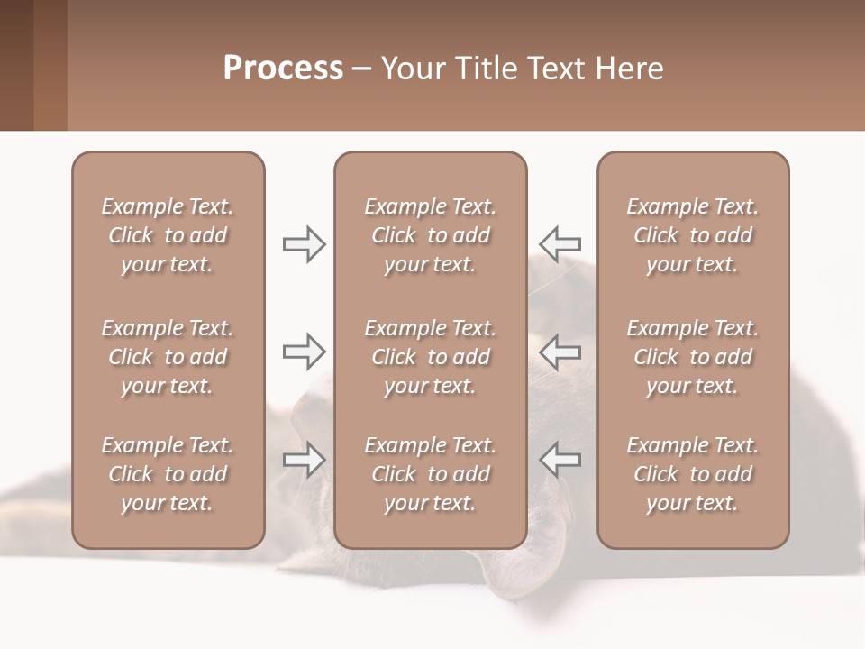A Cat Laying On Its Back On Top Of A Table PowerPoint Template