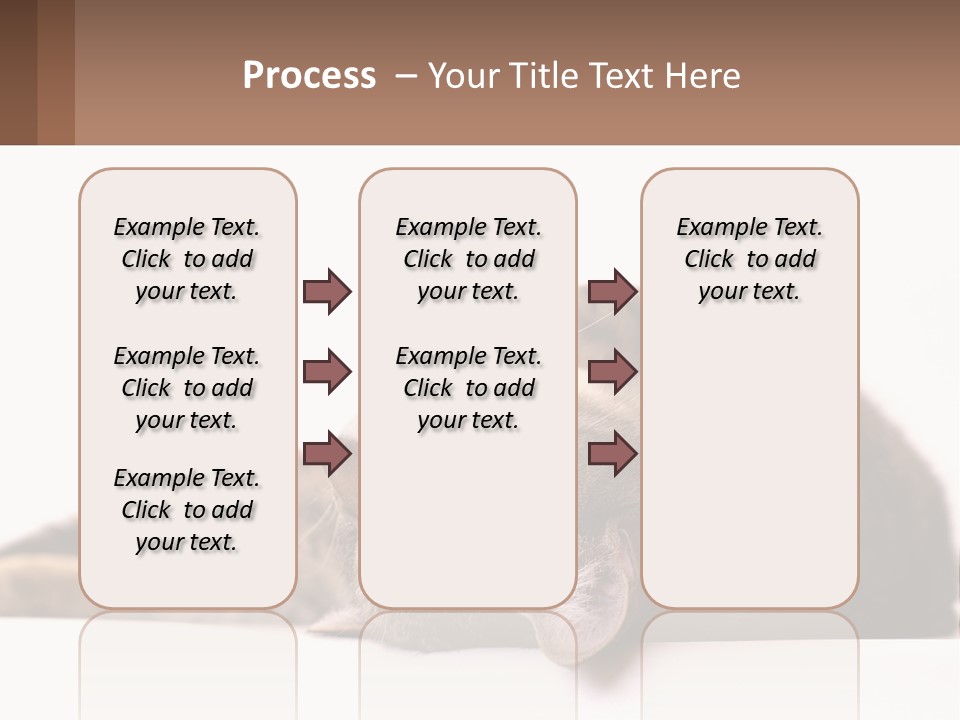 A Cat Laying On Its Back On Top Of A Table PowerPoint Template