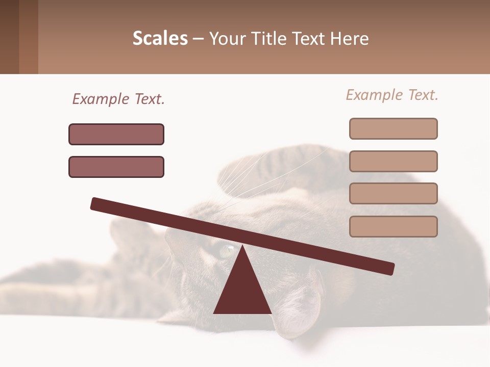 A Cat Laying On Its Back On Top Of A Table PowerPoint Template