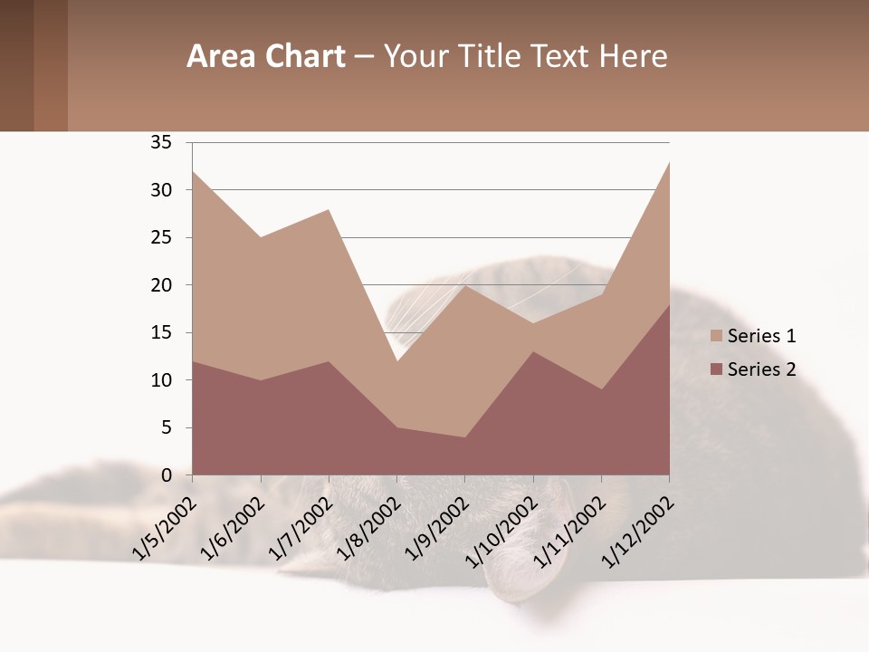 A Cat Laying On Its Back On Top Of A Table PowerPoint Template