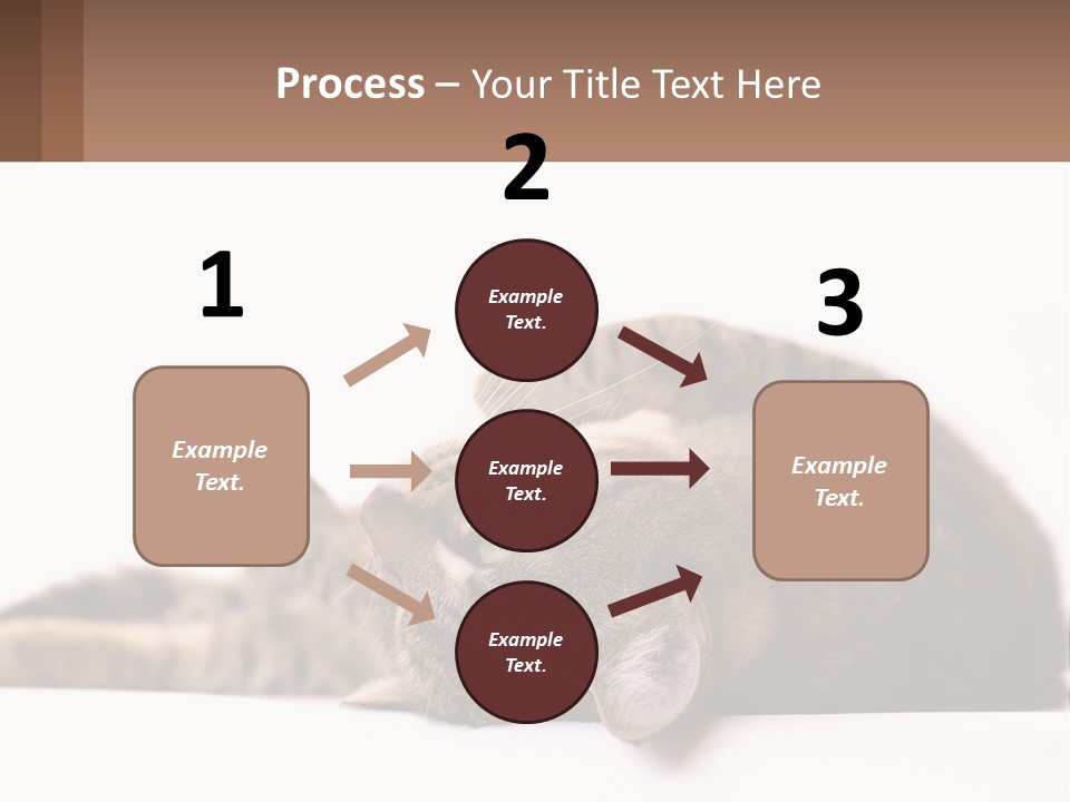 A Cat Laying On Its Back On Top Of A Table PowerPoint Template