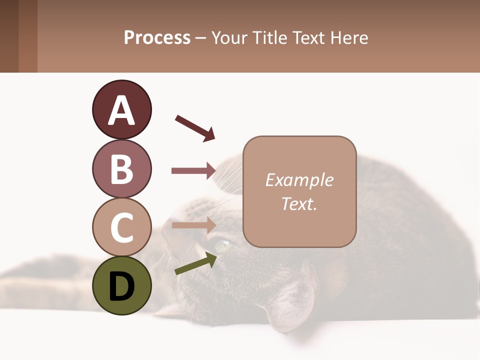 A Cat Laying On Its Back On Top Of A Table PowerPoint Template