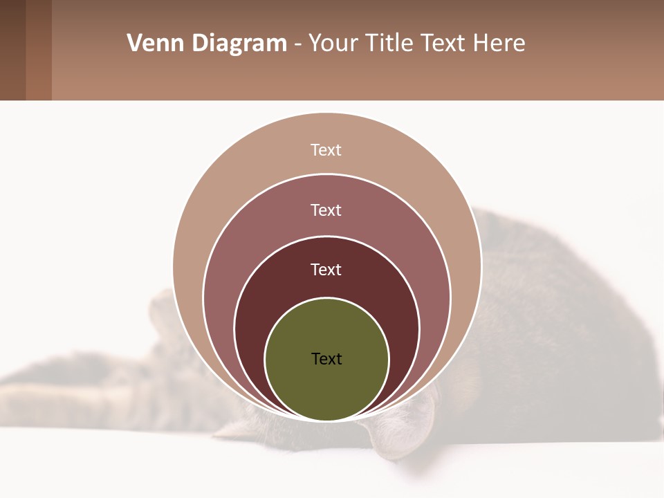 A Cat Laying On Its Back On Top Of A Table PowerPoint Template