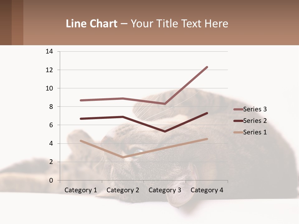 A Cat Laying On Its Back On Top Of A Table PowerPoint Template