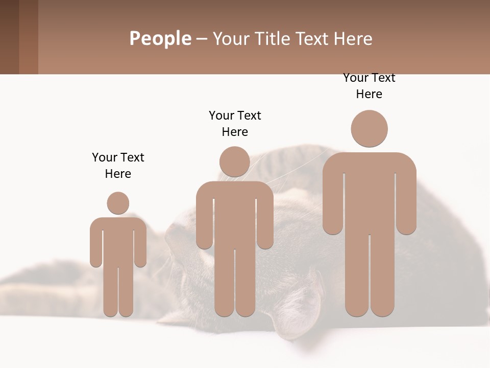 A Cat Laying On Its Back On Top Of A Table PowerPoint Template