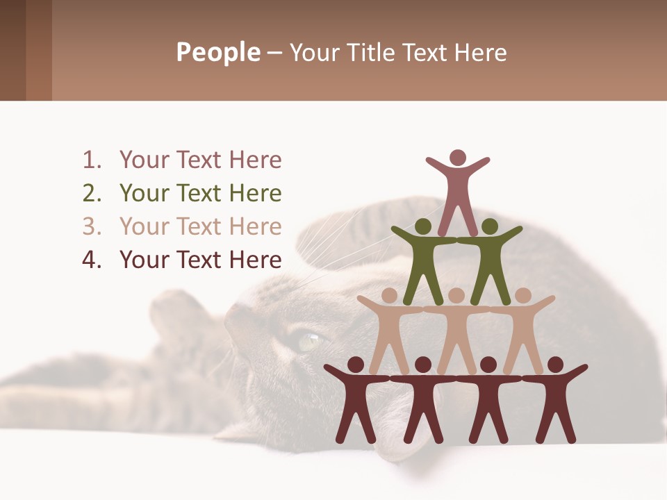 A Cat Laying On Its Back On Top Of A Table PowerPoint Template