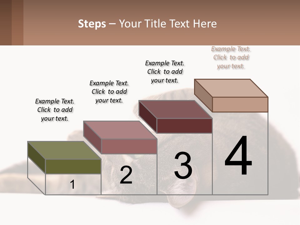 A Cat Laying On Its Back On Top Of A Table PowerPoint Template