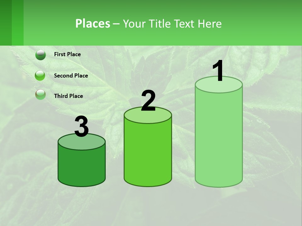 A Green Leaf Powerpoint Presentation Template PowerPoint Template