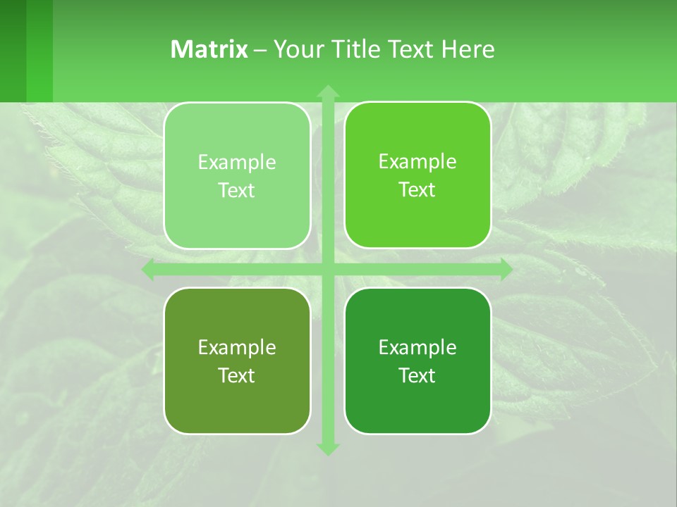 A Green Leaf Powerpoint Presentation Template PowerPoint Template
