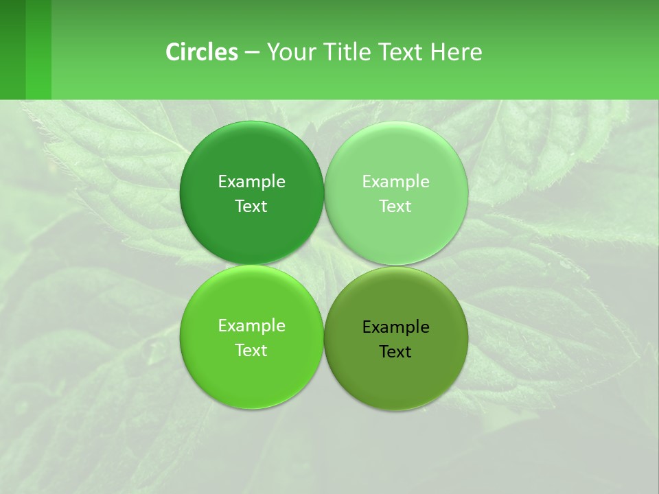 A Green Leaf Powerpoint Presentation Template PowerPoint Template