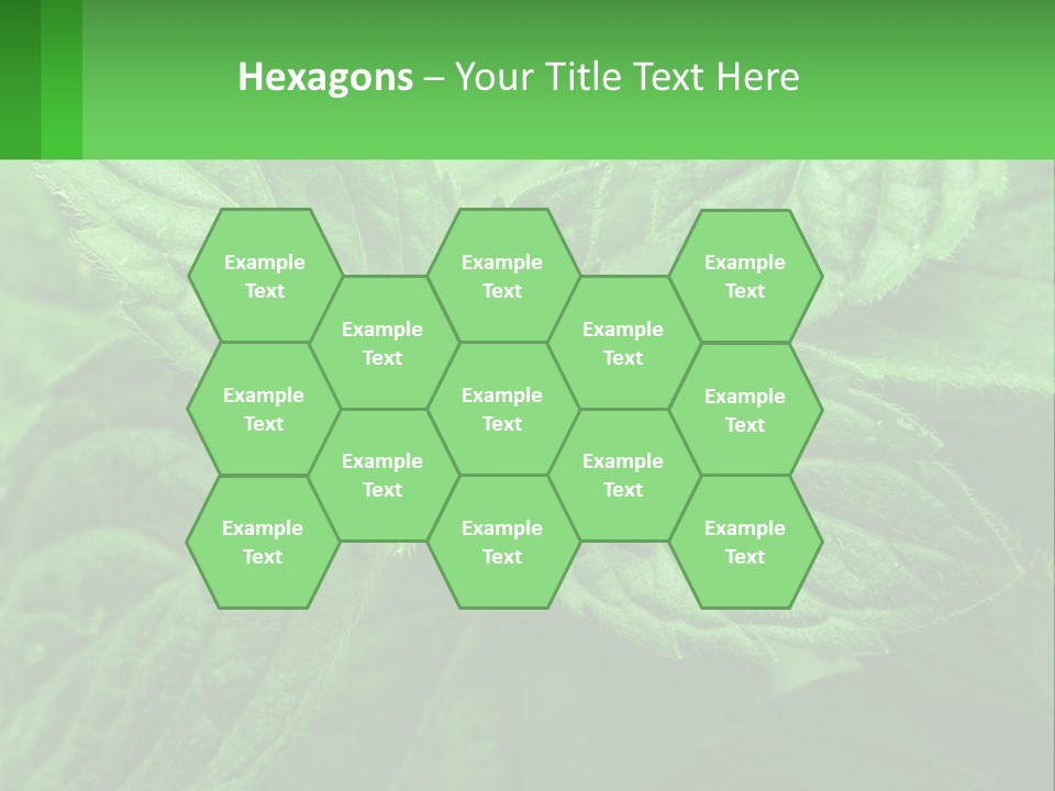 A Green Leaf Powerpoint Presentation Template PowerPoint Template