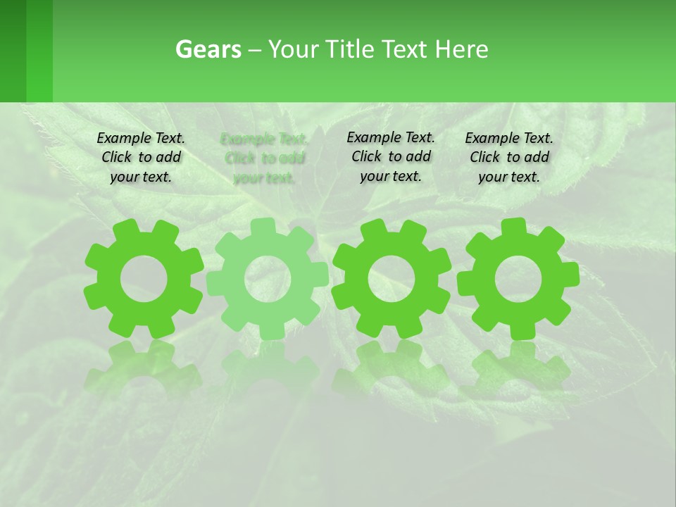 A Green Leaf Powerpoint Presentation Template PowerPoint Template