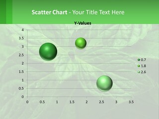 A Green Leaf Powerpoint Presentation Template PowerPoint Template
