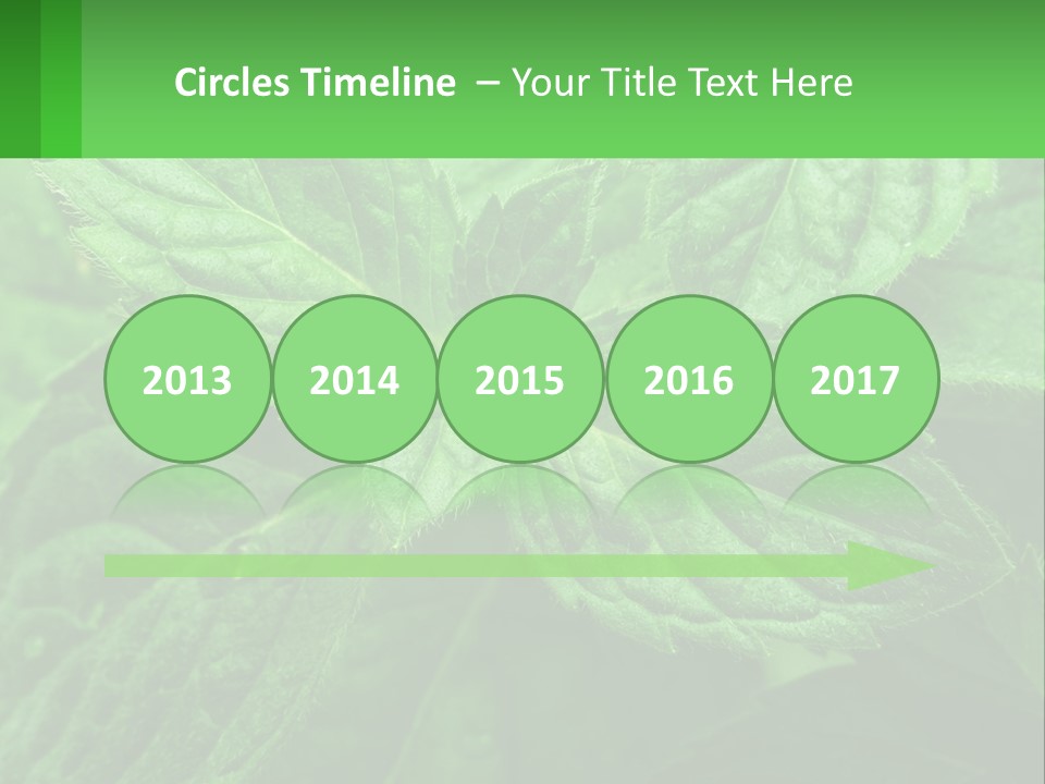 A Green Leaf Powerpoint Presentation Template PowerPoint Template