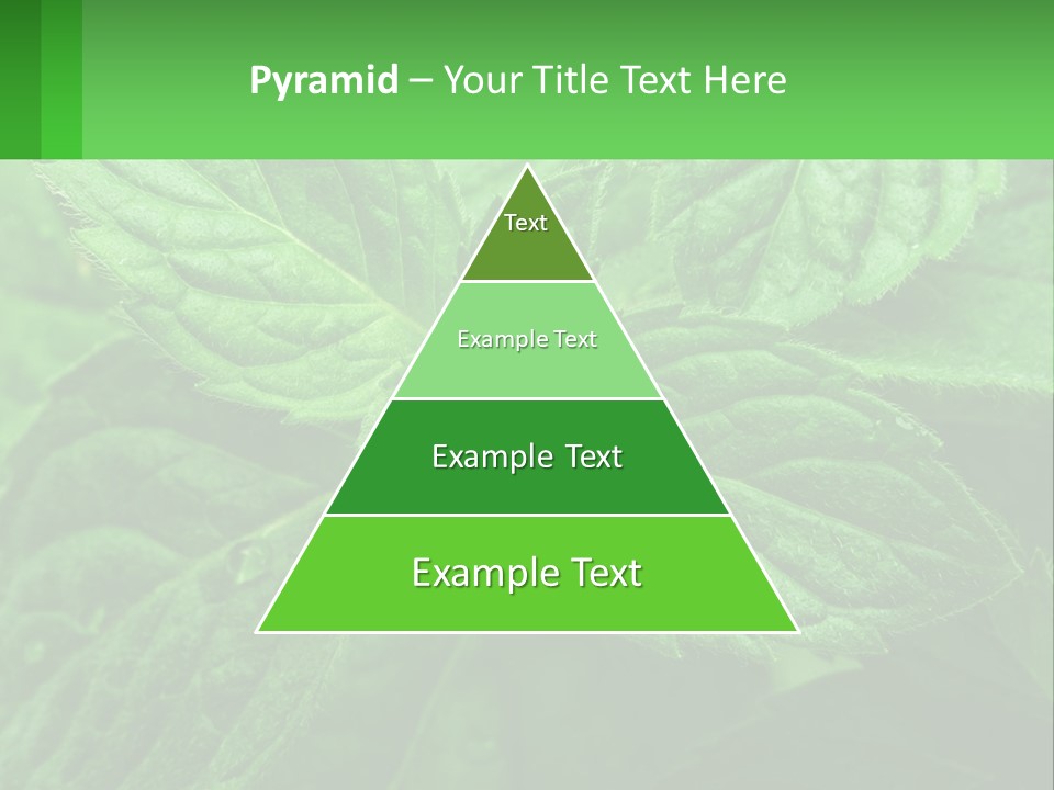 A Green Leaf Powerpoint Presentation Template PowerPoint Template