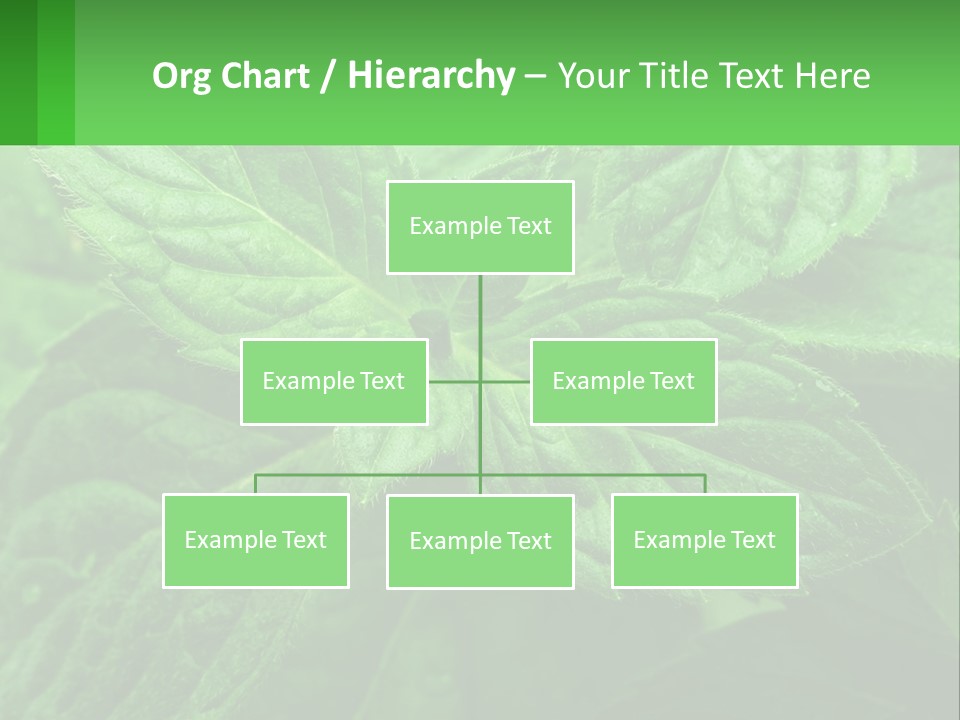A Green Leaf Powerpoint Presentation Template PowerPoint Template