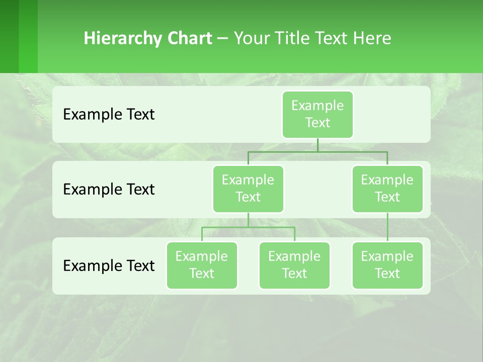 A Green Leaf Powerpoint Presentation Template PowerPoint Template