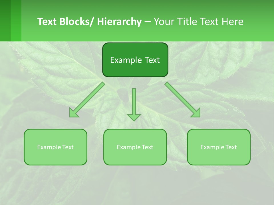 A Green Leaf Powerpoint Presentation Template PowerPoint Template