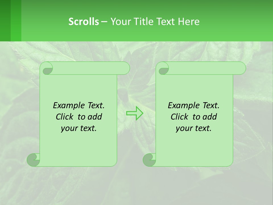 A Green Leaf Powerpoint Presentation Template PowerPoint Template