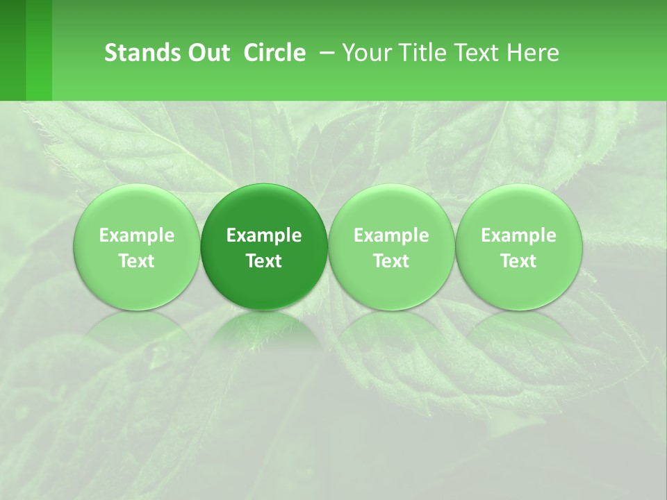 A Green Leaf Powerpoint Presentation Template PowerPoint Template