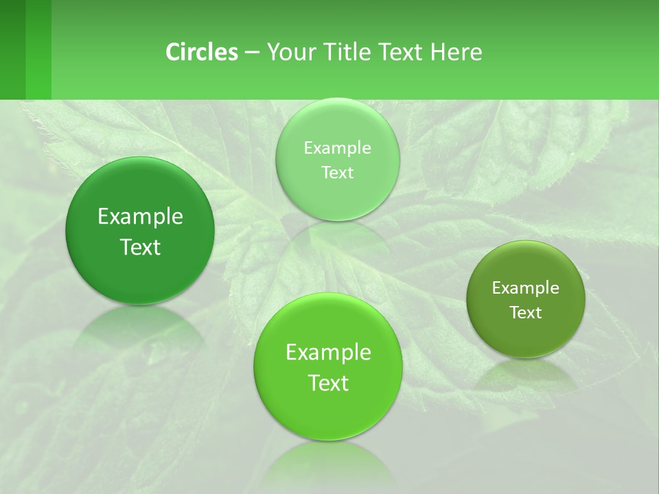 A Green Leaf Powerpoint Presentation Template PowerPoint Template