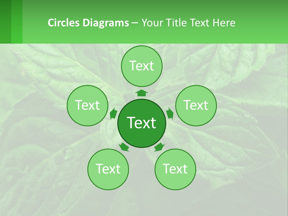 A Green Leaf Powerpoint Presentation Template PowerPoint Template