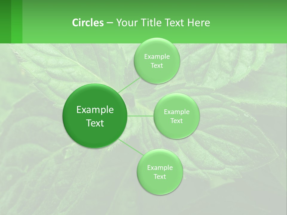 A Green Leaf Powerpoint Presentation Template PowerPoint Template