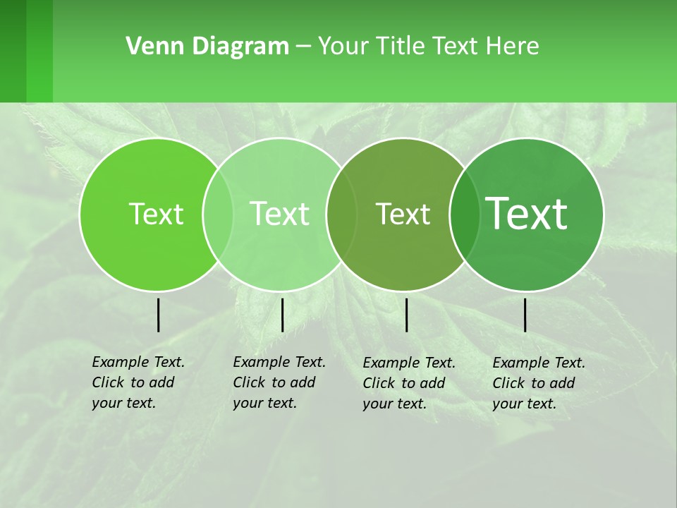 A Green Leaf Powerpoint Presentation Template PowerPoint Template