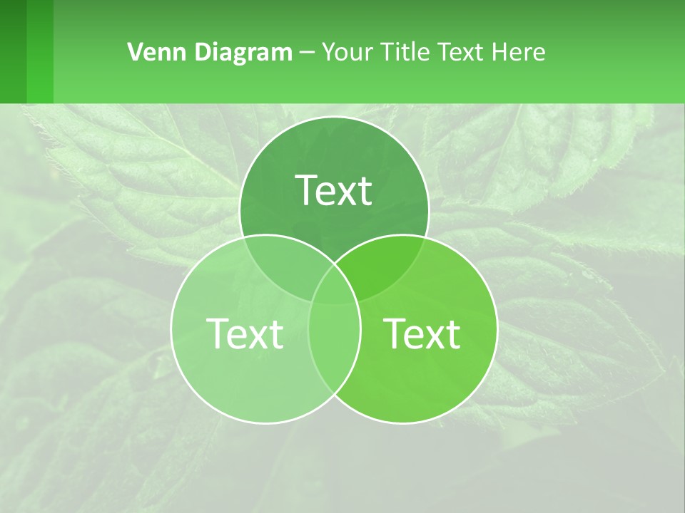 A Green Leaf Powerpoint Presentation Template PowerPoint Template