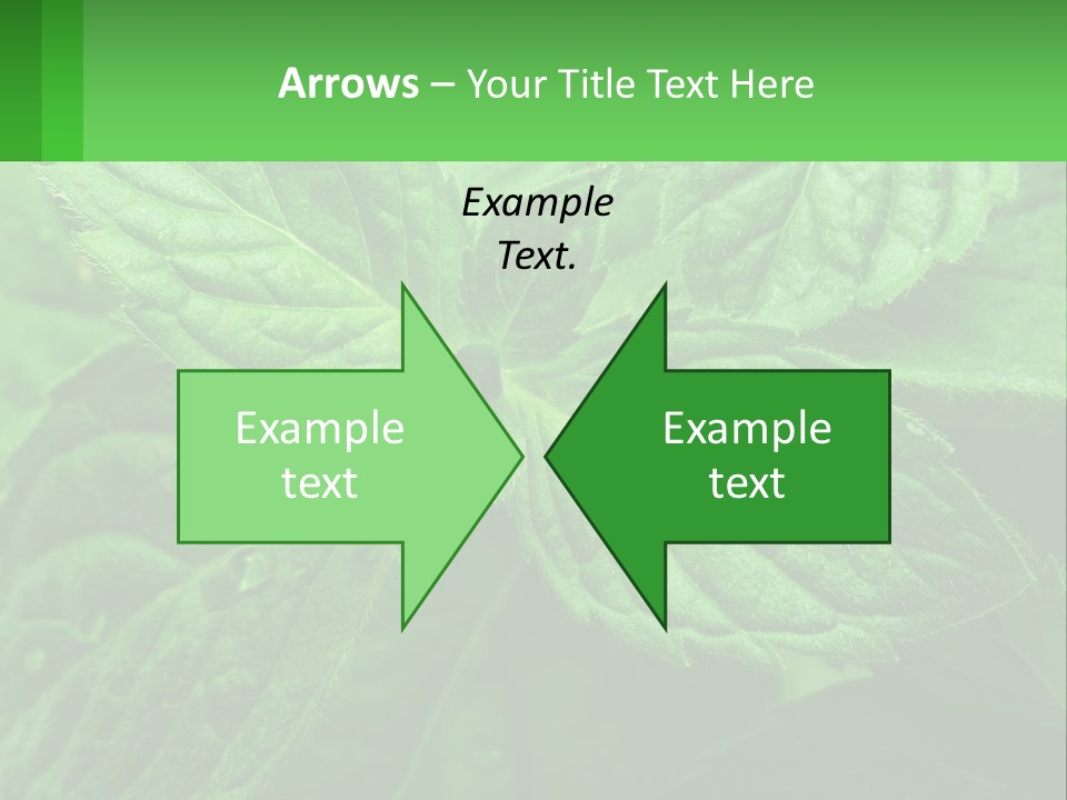 A Green Leaf Powerpoint Presentation Template PowerPoint Template