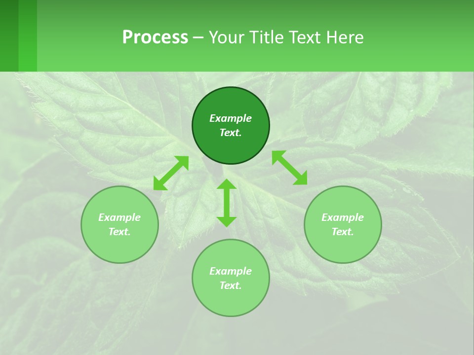 A Green Leaf Powerpoint Presentation Template PowerPoint Template