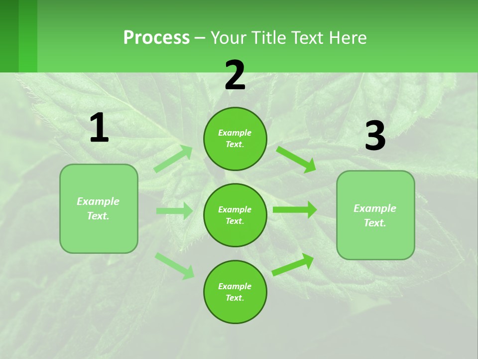 A Green Leaf Powerpoint Presentation Template PowerPoint Template