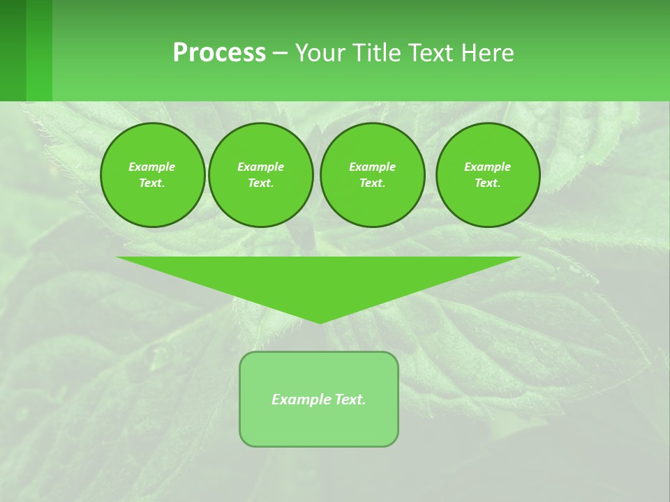 A Green Leaf Powerpoint Presentation Template PowerPoint Template