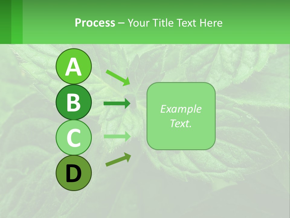 A Green Leaf Powerpoint Presentation Template PowerPoint Template