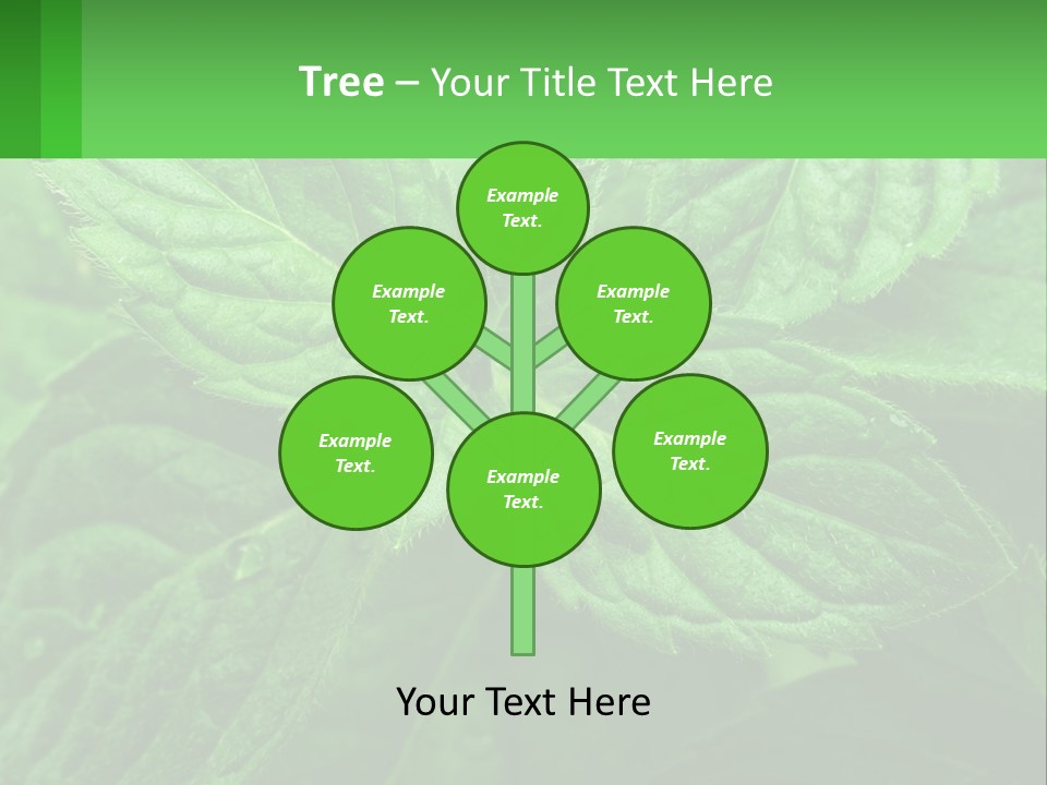 A Green Leaf Powerpoint Presentation Template PowerPoint Template