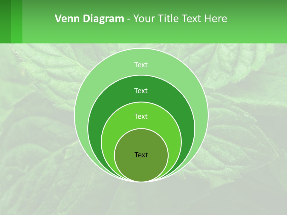 A Green Leaf Powerpoint Presentation Template PowerPoint Template