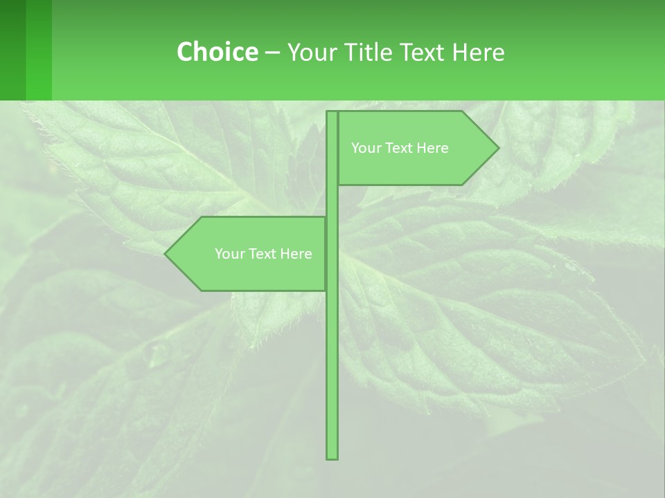 A Green Leaf Powerpoint Presentation Template PowerPoint Template