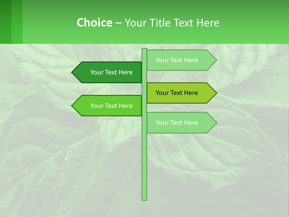 A Green Leaf Powerpoint Presentation Template PowerPoint Template