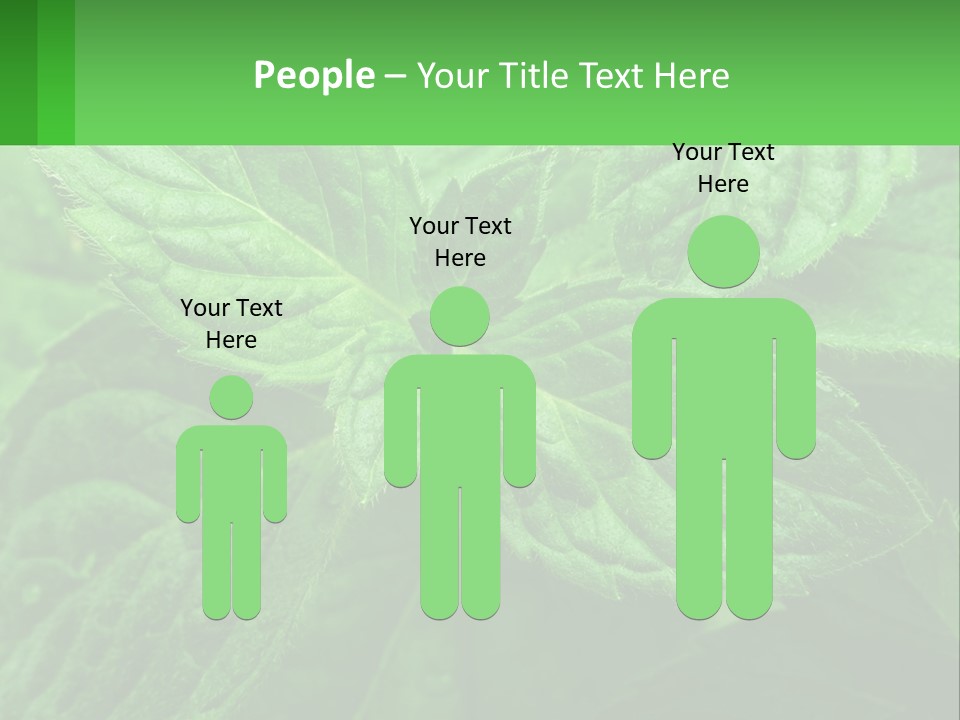 A Green Leaf Powerpoint Presentation Template PowerPoint Template